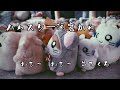 希少映像シリーズおにんぎょう村の歴史「ハムスター音頭の記録」1999年