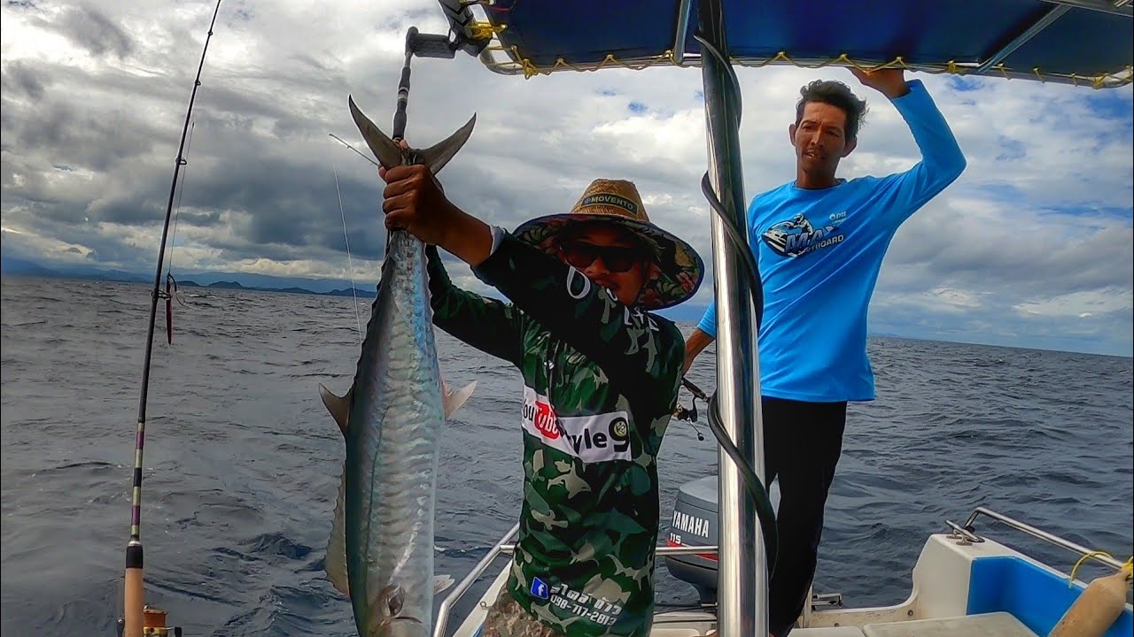 จิ๊กอินทรีย์ทะเลบางสะพาน