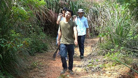 华农兄弟：兄弟家山上的杨梅熟了，叫兄弟帮忙抬个小箩筐去摘 - 天天要闻