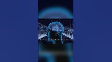 Unraveling the Mystery of Decision Trees in Machine Learning 🌳🤖