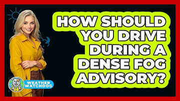 How Should You Drive During a Dense Fog Advisory?