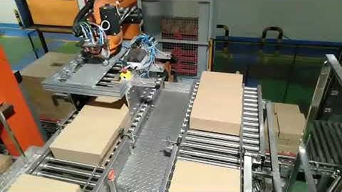 Robot palletizer (Xếp thùng lên pallet)