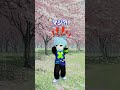 みんなはお花見できた？【ロブロックス】#shorts