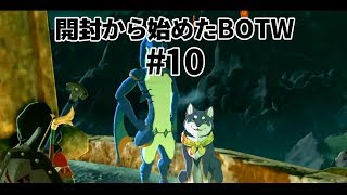 開封から始めたBOTW　#10