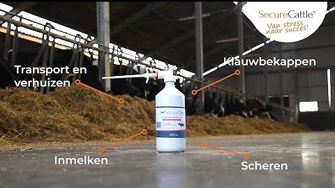 Innovatiefilm Secure Cattle