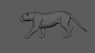 Tiger Second Walk Cycle