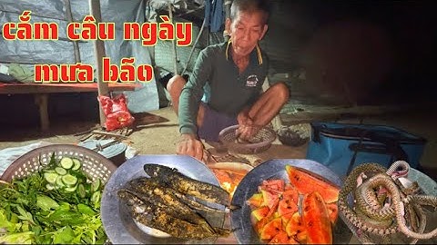 TẬP.116. cắm câu ngày mưa bão/cắm chưa xong là đã dính cá rồi