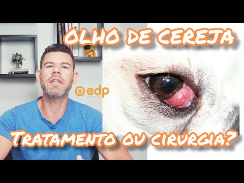 Vídeo: O que é Paralisia Laríngea em Cães?