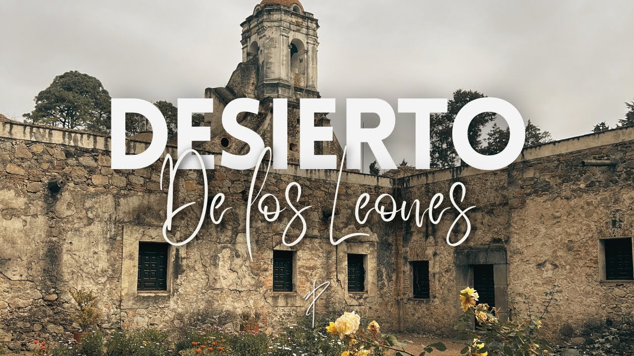 DESIERTO DE LOS LEONES CDMX 🌲 | Un plan para desconectarte de la ciudad ✨