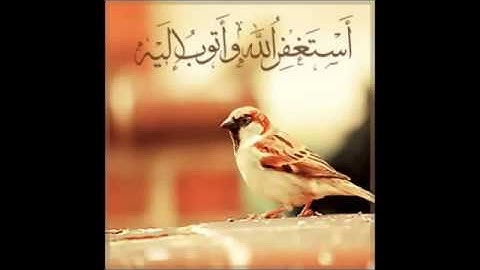 سورة الحاقة ~ بصوت سلمان العتيبي ما شاء الله بصوته