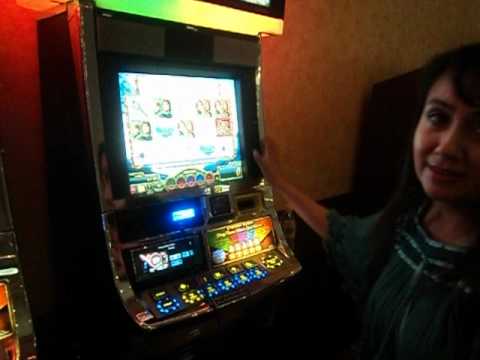 Cashman Casino Slots Walkthrough Gameplay Happy Tree