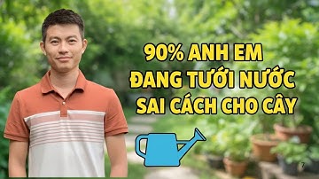 Sai Lầm Khi Tưới Nước Khiến Cây Không Lớn – 90% Anh Em Mắc Phải!