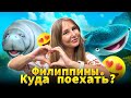 Филиппины. Куда лучше поехать? Какой остров выбрать? Что посмотреть? 16+