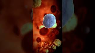 Blood cells & function | RBCs,white blood cells, platelet cells #shortvideo#rdmedicalscience