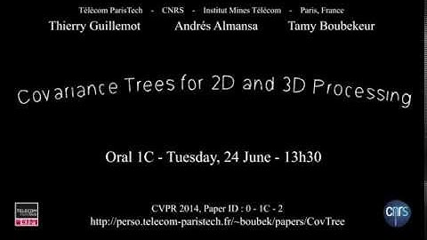 CVPR 2014 Spotlight for "Covariance Trees for 2D and 3D Processing"