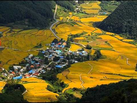 Picture of 사랑은 모두다 그렇게