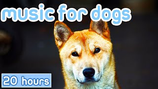 [NO ADS] Music for Dogs: Gentle Songs to Promote Sleep, Cure Depression!