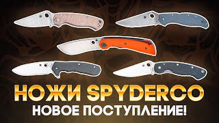 Складные ножи Spyderco - Долгожданное поступление топовых моделей!