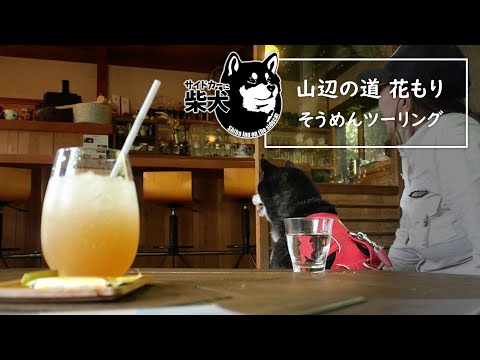 「山辺の道 花もり」 そうめんツーリング！【サイドカーに柴犬 #117 Let's go Soumen Touring!】