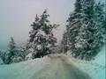 Ehden Ya 3arousetna Ehden Ya 3arousetna