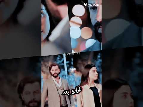 اغنية قيس هشام ماكو بكلبي بس هو