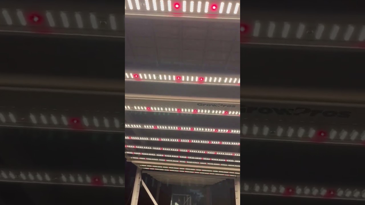 Ultra thin LED grow lights 