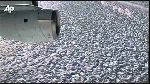 NASA Concerned About Crack in Glacier