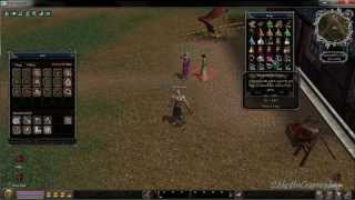 Metin2 Gameplay: Hammer