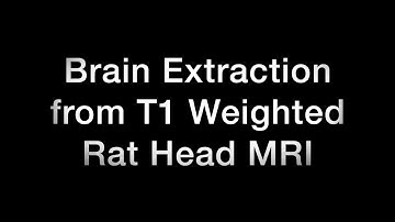 Automated Rat Brain Extraction from T1 MRI