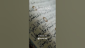Surah Al-Qasas 48 | Hindi - Urdu Audio translation | سورة القصص #alqasas #hindi #urdu #islamdaily