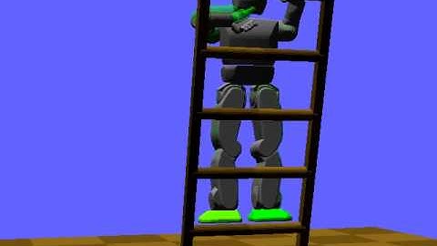 Simulated ladder climbing with the Hubo-II+ robot