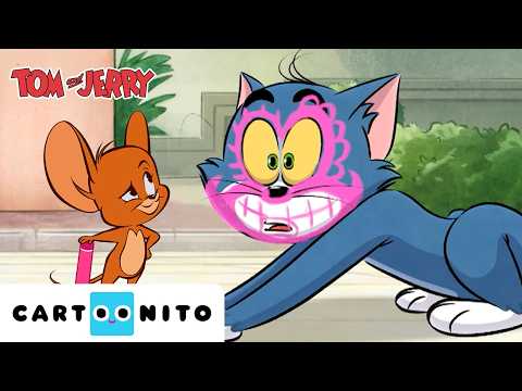 Плейлист за творчески забавления с Том и Джери | Том и Джери | Cartoonito