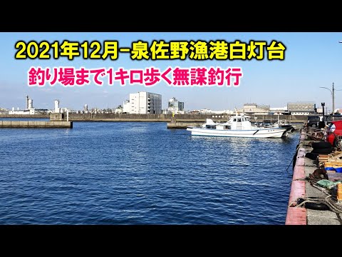 【泉佐野 釣り】駐車場から白灯台まで1キロをカート押して過酷な本年最後の釣行です