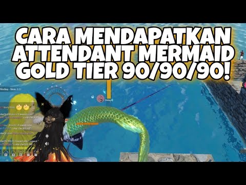 CARA MENDAPATKAN ATTENDANT MERMAID TIER A DI CHIMERALAND | ATRIBUT ATTENDANT 90/90/90