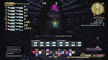 Final Fantasy XIV - The Void Ark Synced New World Record: 18:16