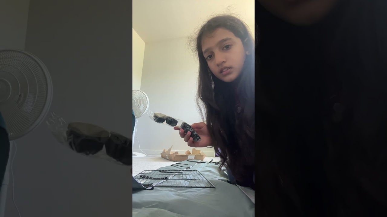 Set up my guinea pigs cage with me! 