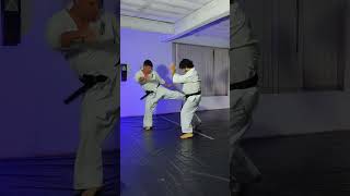 Golpes do Karate Kyokushin