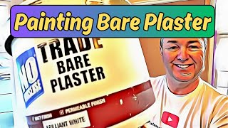 how do you paint new bare plaster  advice from a professional