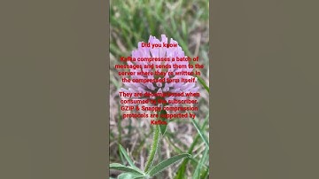 Kafka sends data compressed to subscribers