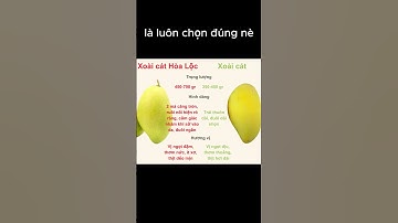 Phân Biệt Giữa Xoài Cát Hòa Lộc và Xoài Cát với Nhà Xoài 89 Để Chọn Xoài Ngon Mà Không Bị Nhầm Nè