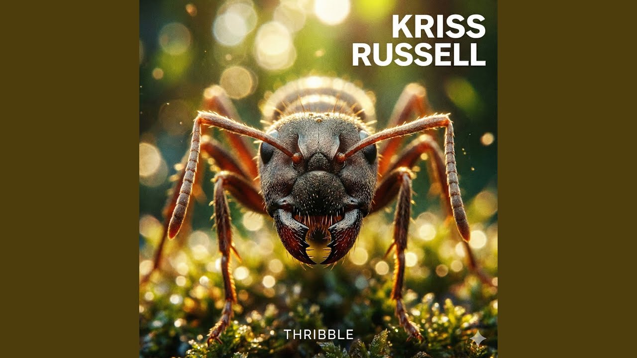Watch Thribble on YouTube Watch Thribble on YouTube