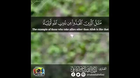 مثل الذين اتخذوا من دون الله أولياء / القارئ نبيل الرفاعي