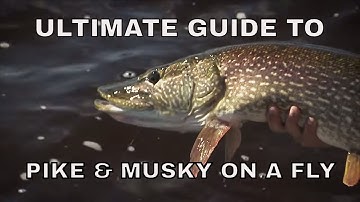 Ultimate Guide to Pike and Musky Fishing on a Fly