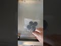 Teste de máquina à vácuo após conserto (3)