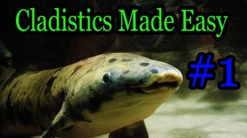 How to Find Transitional Forms (Cladistics Made Easy #1)