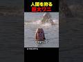 人間を狩る巨大ワニ
