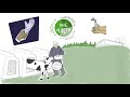 Partnership for Dairy Safety and Health Video