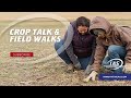 Crop Talk & Field Walks: Exploring Sustainability with IAS & Lillie Beringer-Crock