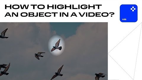 How to HIGHLIGHT AN OBJECT in a Video | Movavi Video Editor