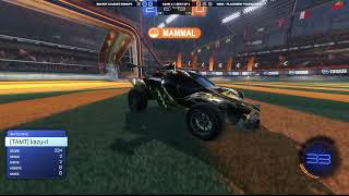 Highlight: Tamut NECC Placements